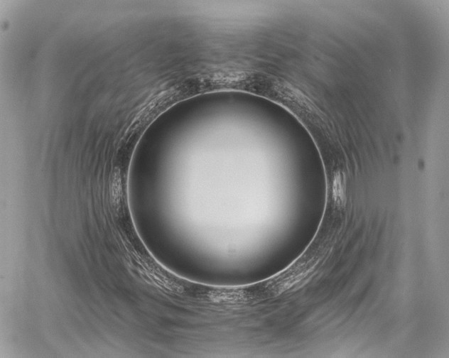 X0000059831299200510241410