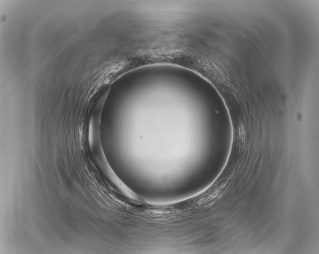 X0000059831300200510241411