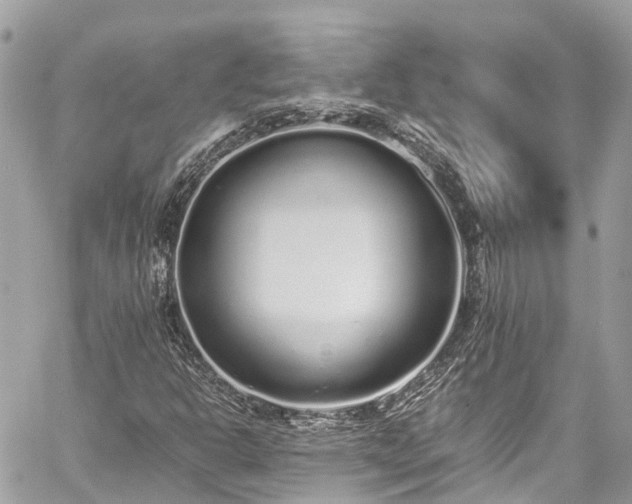 X0000059831302200510241411