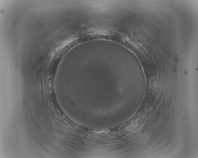 X0000059831303200510241411