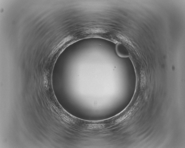 X0000059831305200510241411