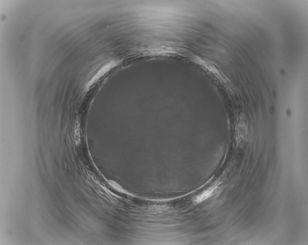 X0000059831306200510241411