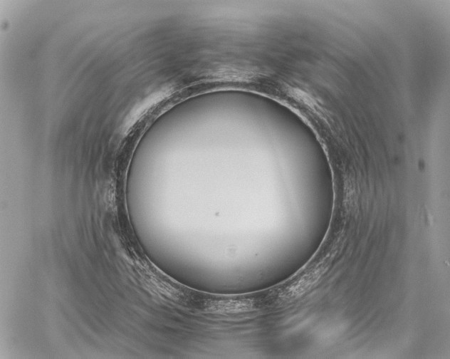 X0000059831307200510241411