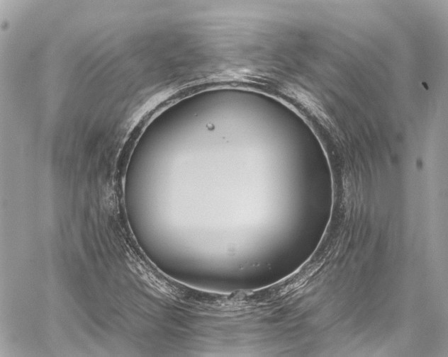 X0000059831308200510241411