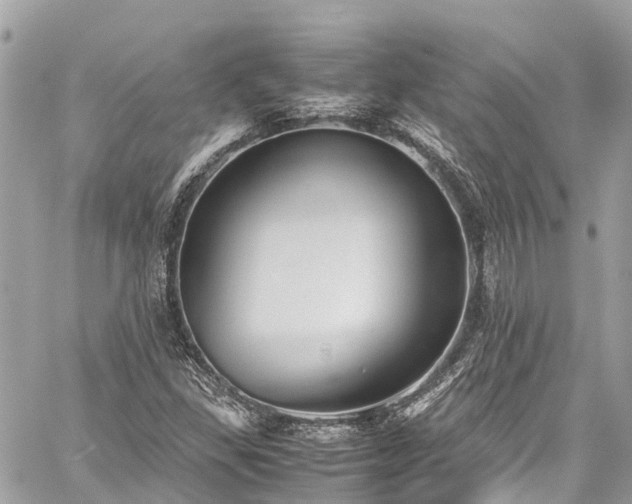 X0000059831309200510241411