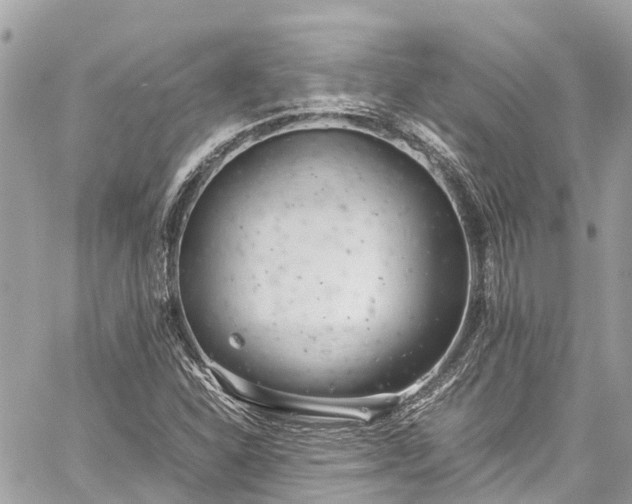 X0000059831310200510241411