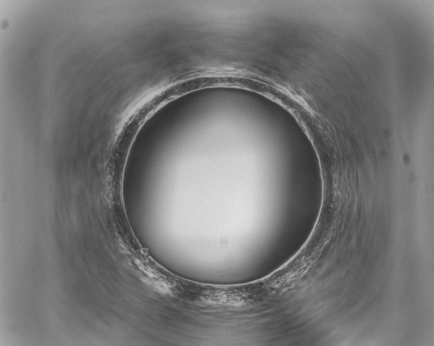 X0000059831311200510241411