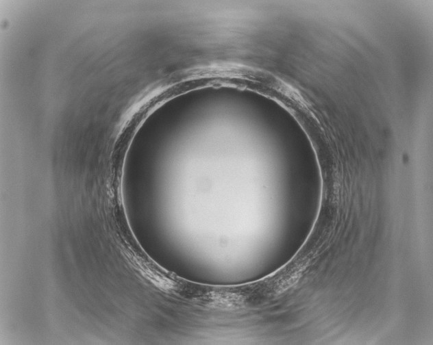 X0000059831312200510241411