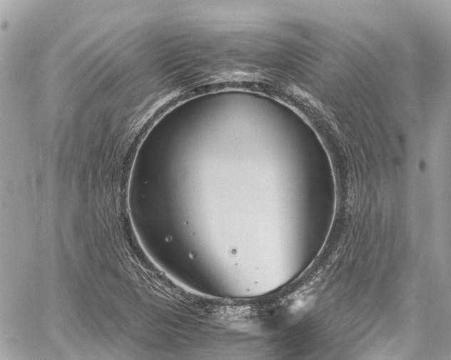 X0000059831313200510241411