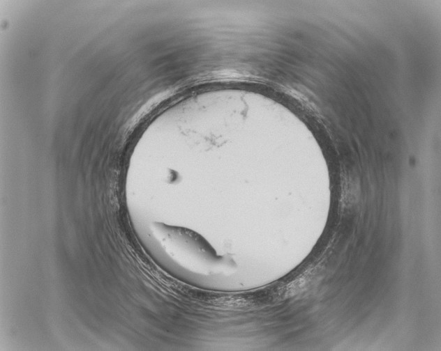 X0000059831314200510241411