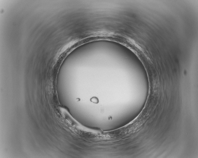 X0000059831315200510241411