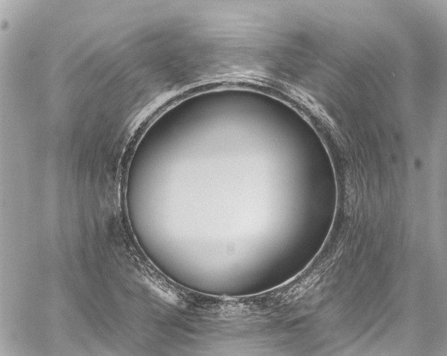 X0000059831316200510241411