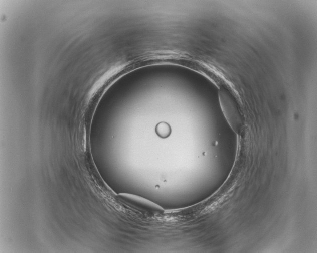 X0000059831317200510241411