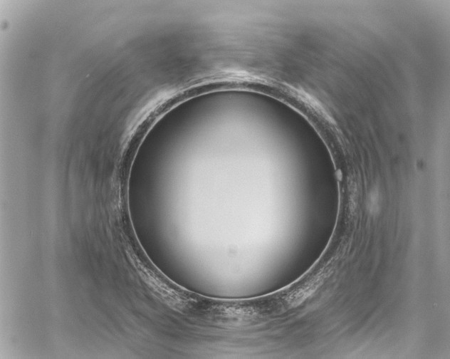 X0000059831318200510241411