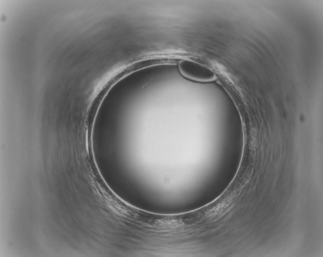 X0000059831320200510241411