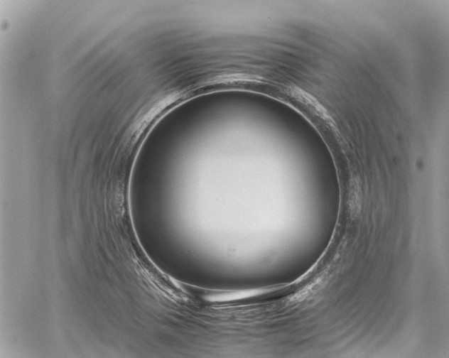 X0000059831321200510241411