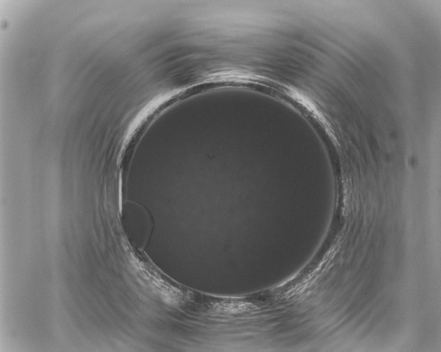 X0000059831323200510241411