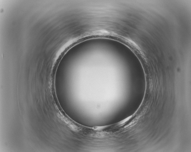 X0000059831326200510241411