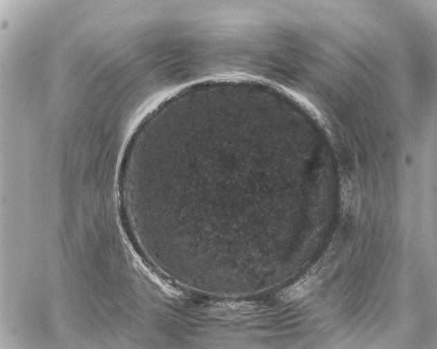 X0000059831327200510241411