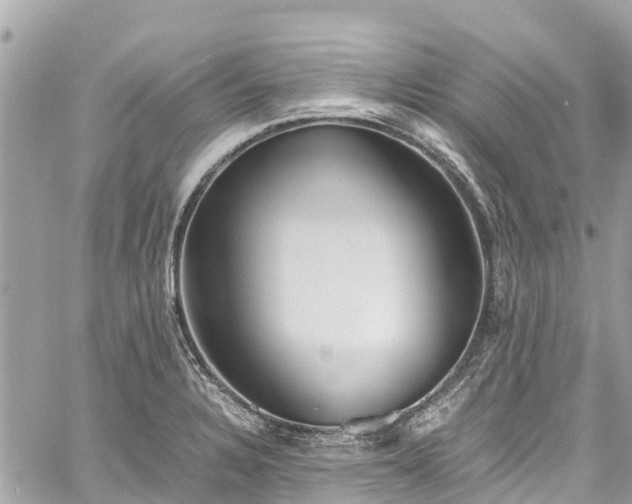 X0000059831328200510241411