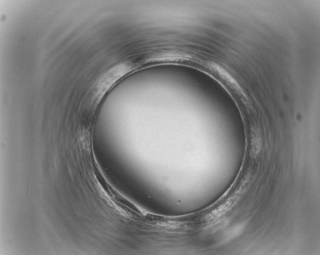 X0000059831329200510241411