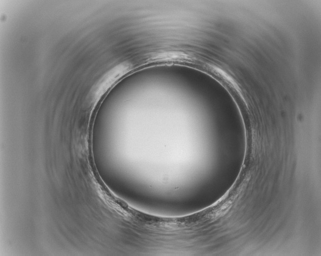 X0000059831330200510241411