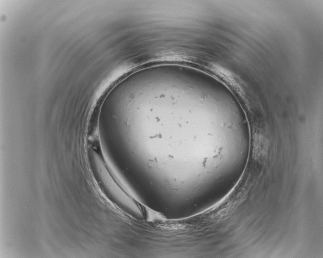 X0000059831331200510241411