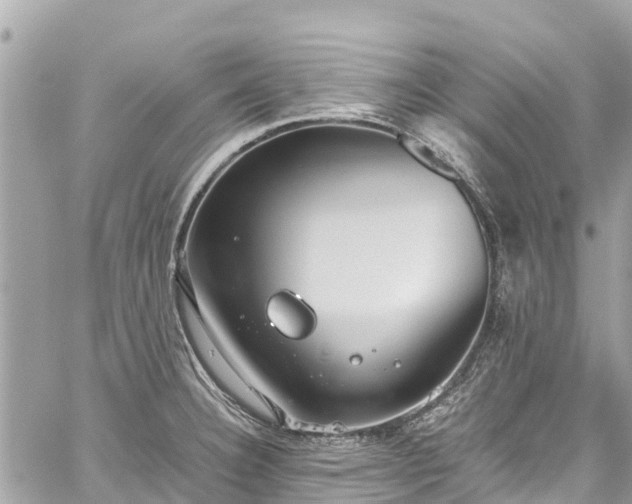 X0000059831332200510241411