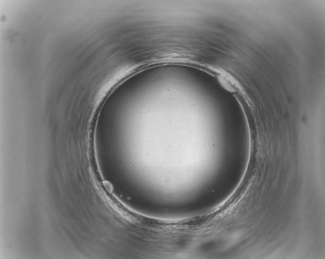 X0000059831333200510241411