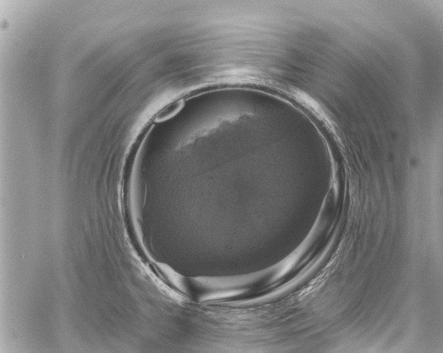 X0000059831334200510241411