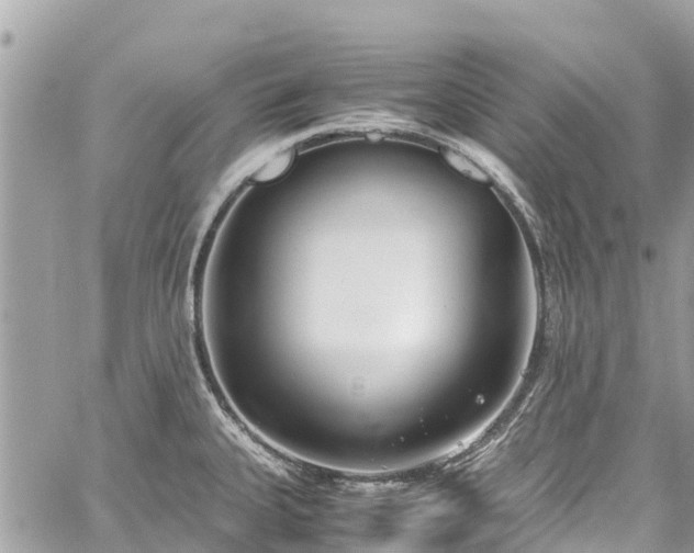 X0000059831335200510241411