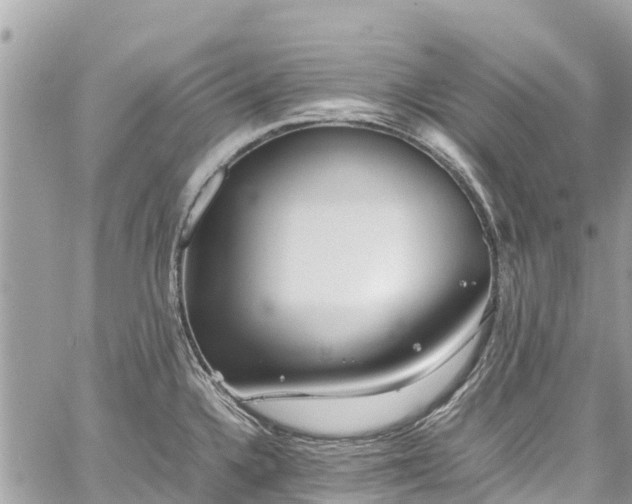 X0000059831336200510241411