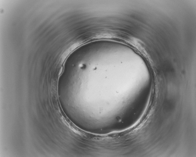 X0000059831337200510241411