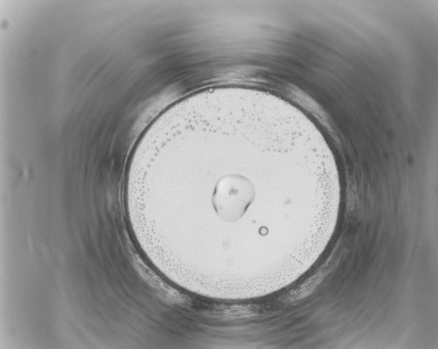 X0000059831338200510241411