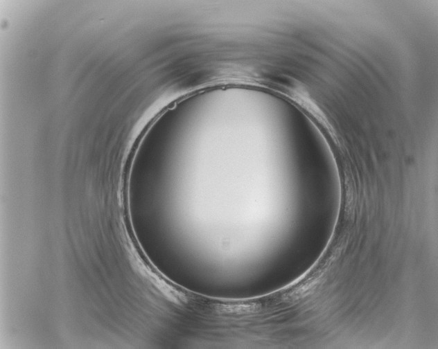 X0000059831339200510241411