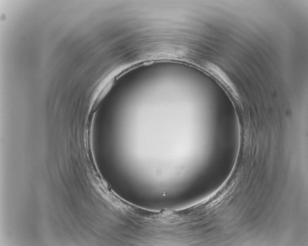 X0000059831340200510241411