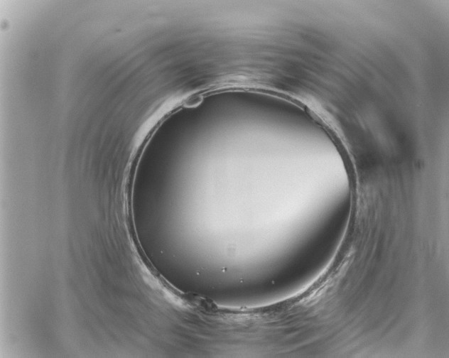 X0000059831341200510241411