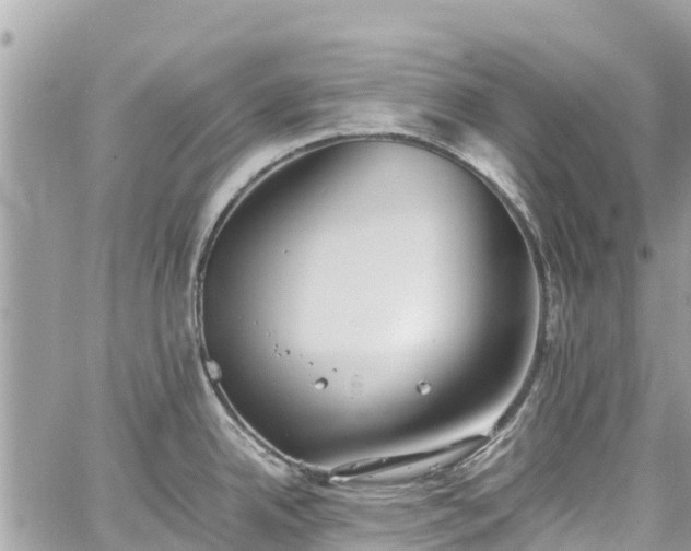 X0000059831342200510241411