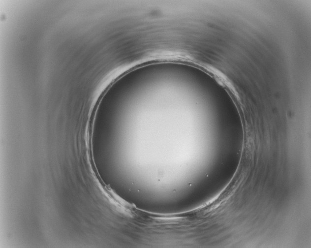 X0000059831343200510241411