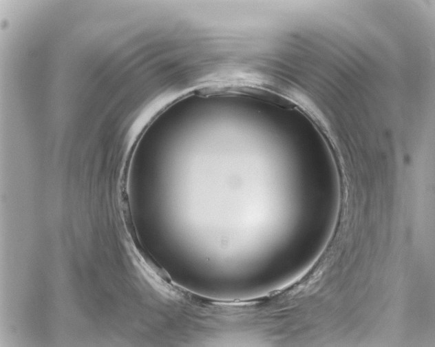 X0000059831344200510241411