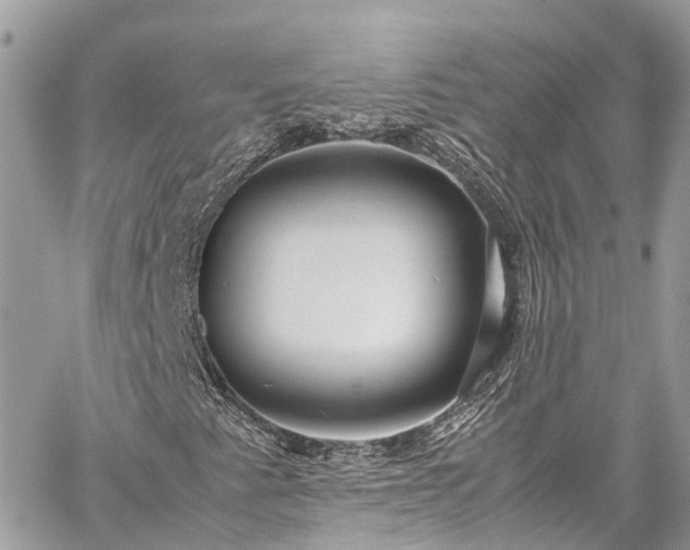 X0000059831345200510241410