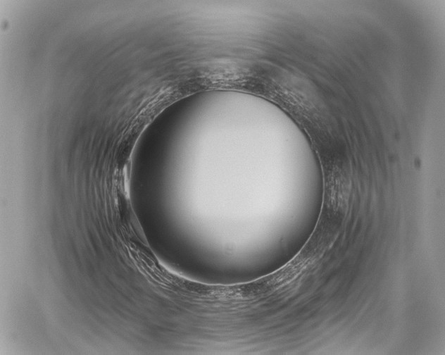 X0000059831346200510241410