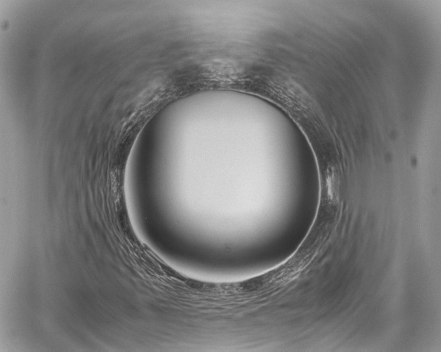 X0000059831347200510241410