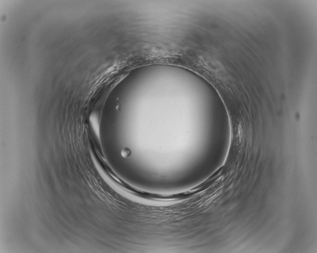 X0000059831348200510241410