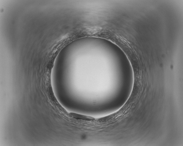 X0000059831349200510241410