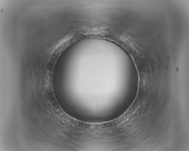 X0000059831350200510241410