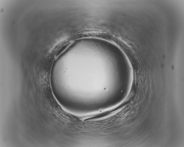 X0000059831351200510241410