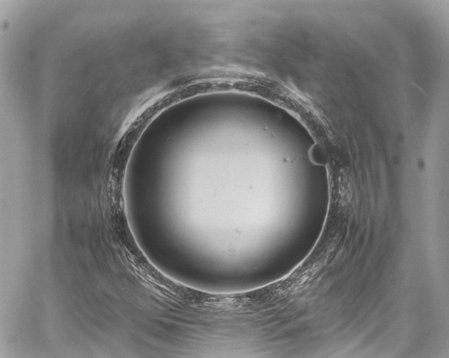 X0000059831352200510241410