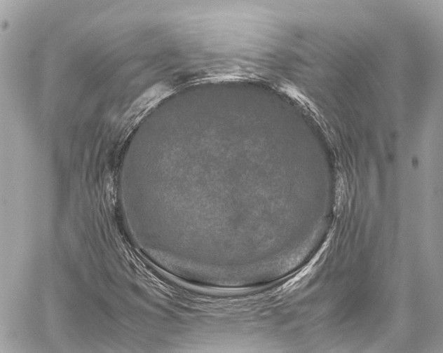 X0000059831353200510241410