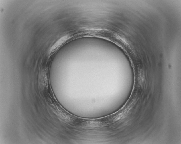 X0000059831354200510241410